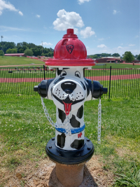 IMG_20210517_122834947_HDR